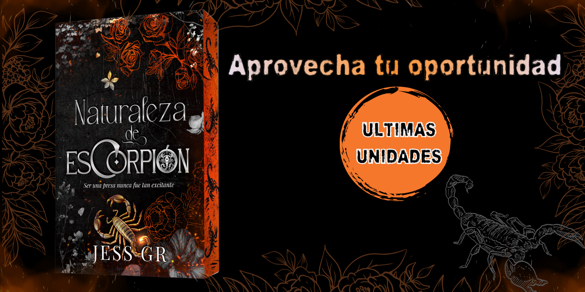 banner web de último lanzamiento de Jess GR